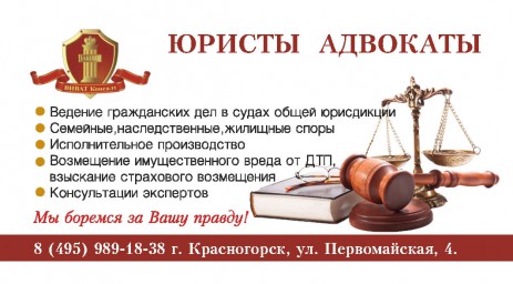 Юристы и адвокаты
